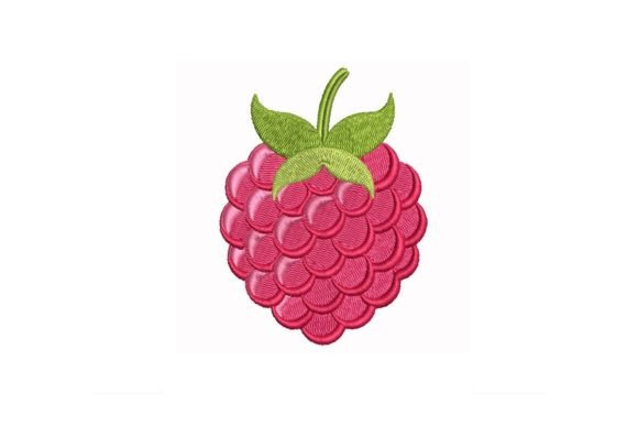 Raspberry Embroidery Design Review for Seasonal Sales